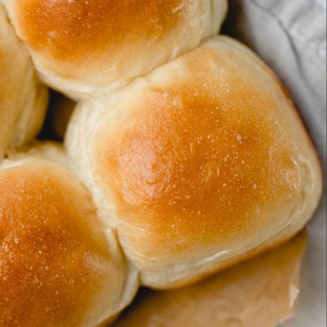 Buttermilk Dinner Rolls Buttermilk Yeast Rolls, Buttermilk Rolls Homemade, Buttermilk Rolls Recipe, Buttermilk Dinner Rolls, Buttermilk Rolls, Dinner Rolls Recipe Homemade, Yeast Roll, Easy Yeast Rolls, Yeast Rolls Recipe