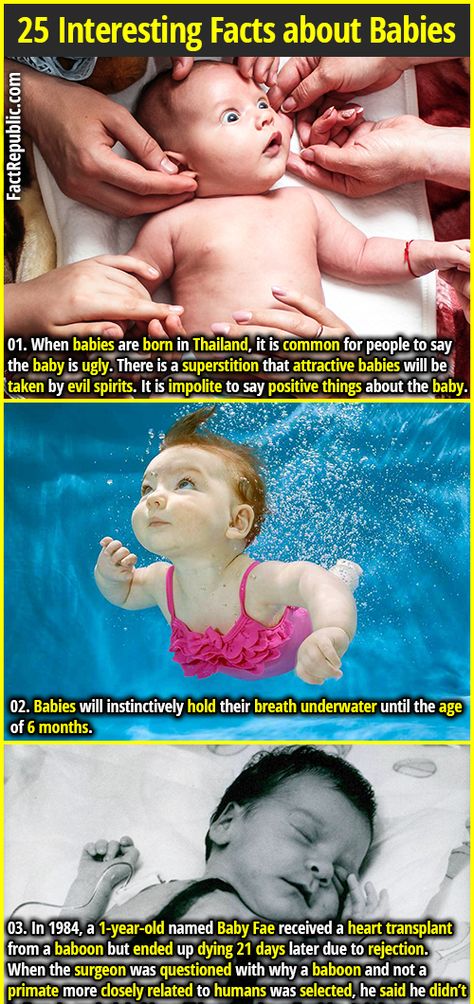 Facts About Babies, Fact Republic, Interesting Science Facts, True Interesting Facts, Baby Life Hacks, Cool Science Facts, Fun Facts About Yourself, Baby Facts, Positive Things