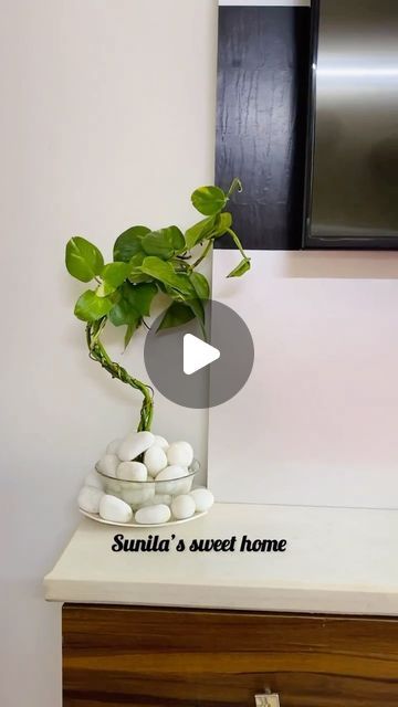 Sunila’s sweet home🏡 on Instagram: "Money plant decoration/golden pothos Bonsai idea💚beautiful polished Stones from @krishna_stone_works" Money Plant Decor Ideas, Money Plant Decor Ideas In Bottle, Krishna Home Decor, Money Plant Decor Indian, Money Plant Decor, Radha Krishna Idol Decoration At Home, Chinese Money Plant Vase, Instagram Money, Handmade Bonsai Pot