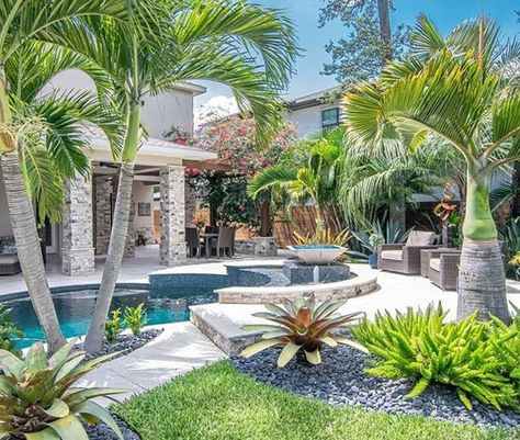 3 Ft Front Yard Fence Ideas, Palm Trees In Planters, Backyard Pool With Lanai, Houses With Palm Trees, Palm Tree Yard Ideas, Landscape Around Palm Trees, Landscape Design Palm Trees, Palm Tree In Garden, Tropical Poolside Landscaping