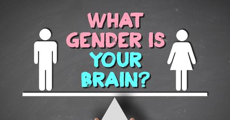 Gender Terms Template, My Brain During A Test, Whats My Sexuality, What Is My Gender, Sexuality Test, Am I Trans Ftm Quiz, What Is My Vibe, Am I Trans Quiz, Gender Identities