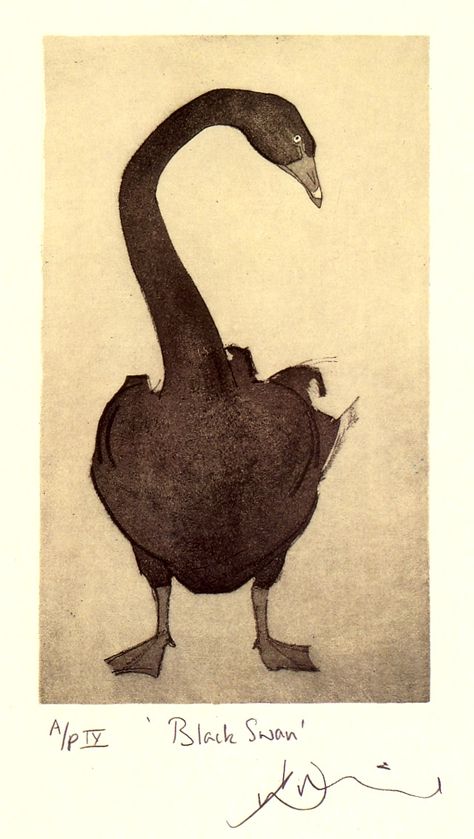 Swan Drawing, Collagraphy, Black Swans, Japanese Paintings, Black Swan, Wildlife Art, Art Plastique, Bird Prints, Animal Illustration