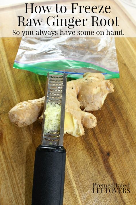 How to Freeze Raw Ginger Root - You can freeze fresh ginger to prevent it from going bad. Frozen ginger keeps in the freezer for up to 6 months. You can grate it while frozen and add the grated ginger directly to recipes. How To Preserve Fresh Ginger Root, Can You Freeze Ginger Root, Freezing Ginger, Storing Fresh Ginger, Freeze Herbs, Freezing Food Guide, Freeze Food, Raw Ginger, Freezing Vegetables