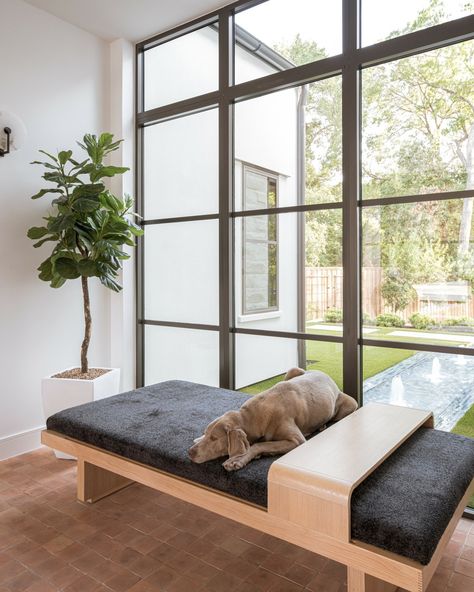 A beautiful home and a happy pup—what more could you ask for? 🏡🐕 Interior Design, Dog Friendly, Pup Approved Built In Dog Bed, Custom Pool, X Design, Foyer Decor, Beautiful Water, Luxury Pool, Custom Pools, Organic Architecture, Organic Design