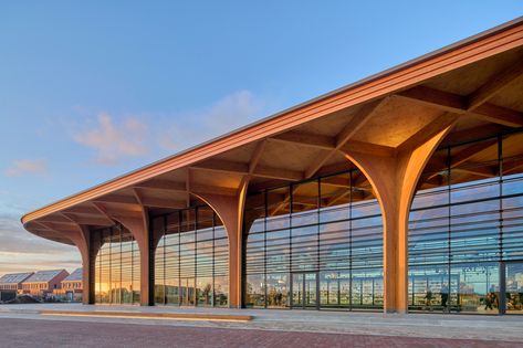 Wooden Columns, Central Building, Timber Architecture, Parametric Architecture, Timber Structure, Architecture Design Concept, Open Layout, Facade Architecture, Concept Architecture