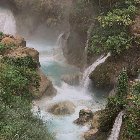 In The Middle, The Middle, Trees, Forest, Running, Water