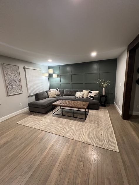 Grey Room With Green Accent Wall, Light Grey Wall With Accent Wall, Accent Wall Color With Agreeable Gray, Pewter Green And Agreeable Gray, Agreeable Grey Living Room Ideas, Gray And Green Walls, Green Walls Gray Floor, Gray Walls With Green Accent Wall, Living Room Paint Color Ideas With Gray Furniture