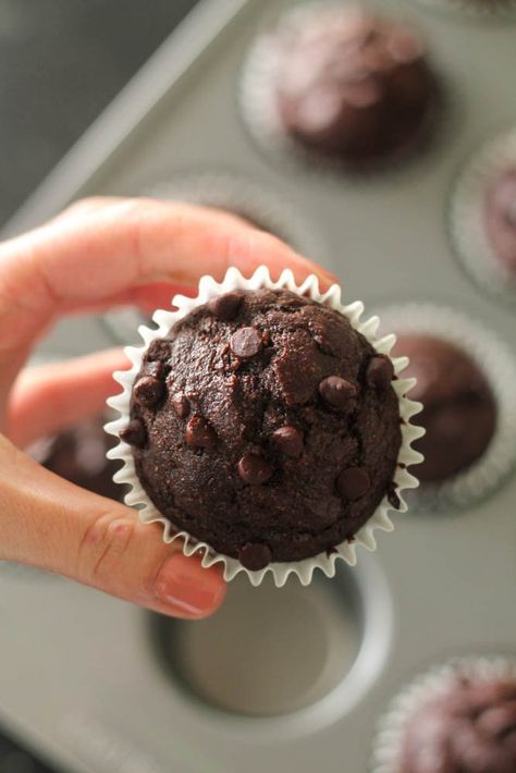 Homemade Chocolate Protein Muffins Shakeology Muffins, Protein Powder Muffins, Chocolate Protein Muffins, High Protein Muffins, Healthy Chocolate Muffins, Protein Cupcakes, Protein Muffin Recipes, Protein Goals, Low Calorie Protein