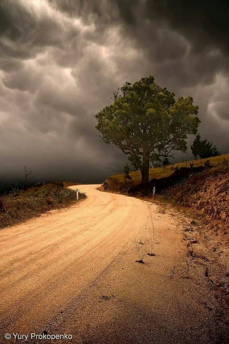 Clouds In The Sky, Dirt Roads, Beautiful Roads, Country Roads Take Me Home, Lone Tree, Dark Clouds, The Road Less Traveled, Road Less Traveled, Country Landscaping