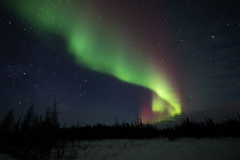 The Truth about Northern Lights, Fairbanks, AK - Wide Angle Adventure Alaska Northern Lights, The Aurora Borealis, Kunming, Africa Safari, The Aurora, Day Hike, How To Level Ground, Wide Angle, Aurora Borealis