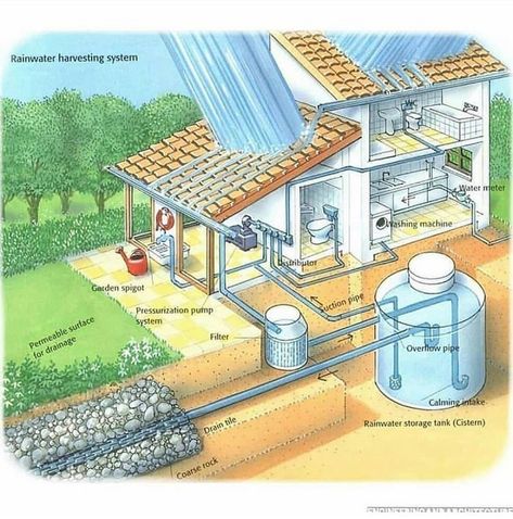 Water Collection System, Eco Construction, Casa Hobbit, Rainwater Harvesting System, Earthship Home, Water Collection, Rainwater Harvesting, Rain Water Collection, Earthship