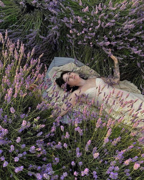 Lavender Fields Photography, Grad Picture Ideas, Ace Tattoo, Flowers Lavender, Farm Pictures, Beauty In Nature, Chinese Art Painting, Lavender Aesthetic, Lavender Field