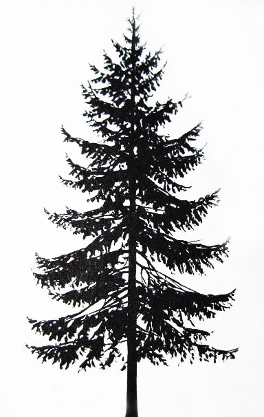 Norway spruce Evergreen Tree Tattoo, Inspire Tattoo, Tree Silhouette Tattoo, Tree Sleeve Tattoo, Pine Tattoo, Trees Drawing, Tree Tattoo Forearm, Tree Tattoo Arm, Pine Tree Drawing