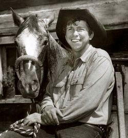 Fred Ward, Slim Pickens, Dr Strangelove, Blazing Saddles, Johnny Crawford, The Rifleman, Tv Westerns, Western Movie, Tv Actors