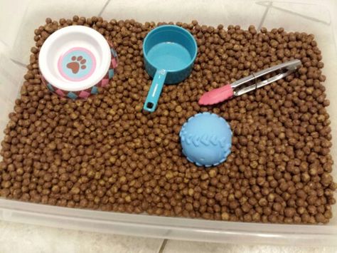 "Dog food" sensory bin Use cocoa puffs cereal  instead of dog food Food Sensory Bin, Dog Sensory, Sensory Water Play, Cocoa Puffs Cereal, Bones For Dogs, Sensory Bin Ideas, Classroom Pets, Pets Preschool Theme, Cocoa Puffs