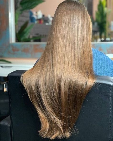 Long Shiny Hair, Hair Color Underneath, Long Hair Tips, Hair Inspiration Long, Long Silky Hair, Hair Photography, Gorgeous Hair Color, Hair Color Auburn, Dark Blonde Hair