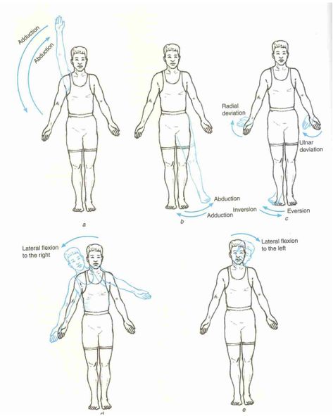 Cardinal Planes and Axes of Movement - Physiopedia Frontal Plane, Sagittal Plane, Psoas Release, Exercise Physiology, Yoga Anatomy, Musculoskeletal System, Muscle Anatomy, Human Anatomy And Physiology, Massage Techniques