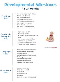 Peds OT Tips: Developmental Milestone Chart: 18 to 24-Months 20 Month Old Milestones, Developmental Milestones Toddlers, Developmental Milestones Chart, Chore Sticks, Milestone Chart, Cognitive Activities, Toddler Milestones, Development Milestones, Learning New Skills