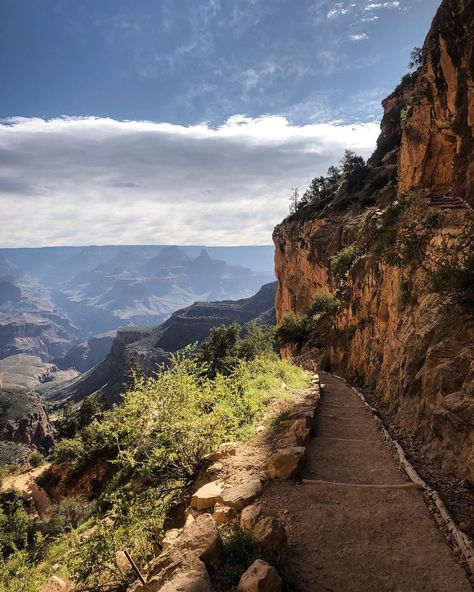 Torrie Jay White on Instagram: “This morning, we walked into the Grand Canyon. Not far. 1.5 miles on Bright Angel Trail, one of the parks best maintained and most…” Bright Angel Trail Grand Canyon, Jay White, Bright Angel Trail, Grand Canyon National Park, The Grand Canyon, This Morning, Grand Canyon, National Park, Jay