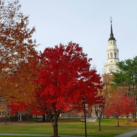 AUTUMN IN NEW ENGLAND~ ~Miller Library, Colby College, Mayflower Hill, Waterville, Maine. New England University Aesthetic, University Of Southern Maine, Western New England University, New England College, New England Fall Photography, Waterville Maine, Colby College, Sandy Cheeks, College Girl