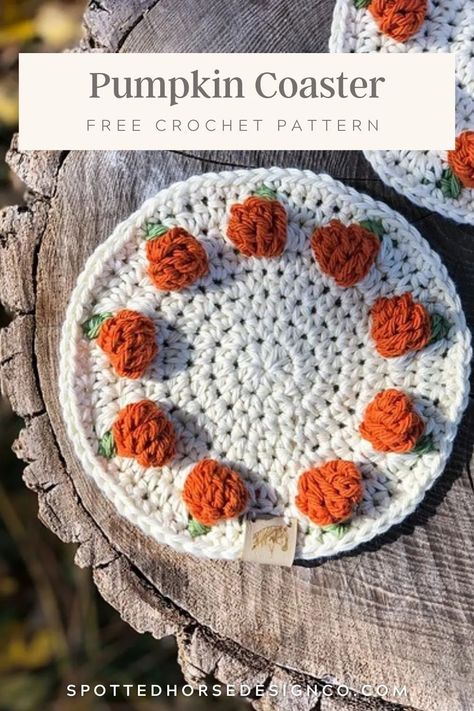 Crochet Fall Coasters, Crochet Pumpkin Coaster, Pumpkin Coasters, Spotted Horse, Crochet Fall Decor, Crochet Project Free, Crochet Coasters Free Pattern, Coaster Pattern, Fall Crochet Patterns