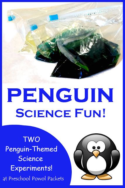 Penguin Science Experiment | Preschool Powol Packets Science Experiment Preschool, Experiment Preschool, Experiments For Preschoolers, Penguin Science, Science Experience, Pre-k Science, Penguin Activities, Winter Science, Science Experiments For Kids