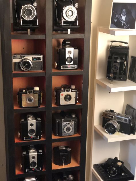 Photographer Decor, Camera Cabinet, Camera Display Ideas Shelves, Camera Wall, Camera Display, Vintage Camera Display, Camera Shelf, Antique Camera Display, Photographer Room