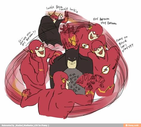 Oh flash... Batman And Flash, Flash And Batman, Flash Family, Superhero Family, Speed Force, Superhero Memes, Wally West, Univers Dc, Batman Funny