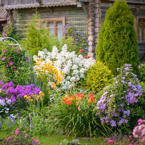 Essential Cottage Garden Ideas: 5 Ways To Dive Into The Cottage Garden Trend Low Maintenance Cottage Garden, Cottagecore Gardens, Front Yard Cottage Garden, Cottage Front Garden, Cottage Core Garden, Cottage Garden Ideas, French Cottage Garden, Cottage Garden Roses, Cottage Rose