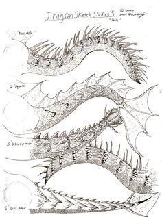 dragon tail - Google Search Dinosaur Anatomy, Above And Below Water, Forest Ideas, Dragon Anatomy, Recycled Cds, Sketch Study, Sketching Tips, Dragon Tail, Dragon Artwork Fantasy