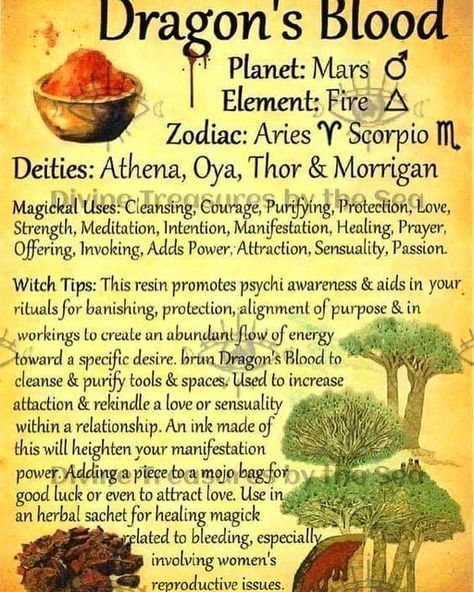 Margaret Jamison on Instagram: "Thank you Divine Treasures By The Sea" Tarot Significado, Magickal Herbs, Witch Herbs, Wiccan Magic, Witch Spirituality, Magic Spell Book, Grimoire Book, Magic Herbs, Wiccan Spell Book