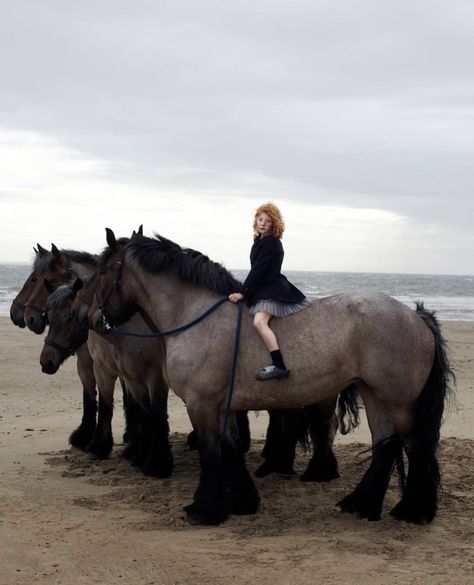 Big Horses, Thanks A Lot, Pretty Animals, Draft Horses, Cute Horses, Horse Life, Pretty Horses, 영감을 주는 캐릭터, Horse Love