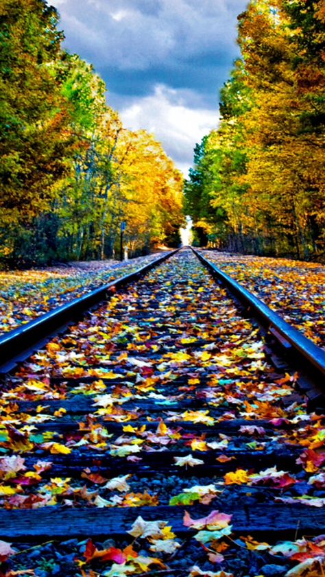 Fall on the tracks  source Flickr.com Railroad Track Pictures, Trains Photography, Train Tracks Photography, Track Pictures, Blurred Background Photography, Desktop Background Pictures, Wallpaper Earth, Scenery Photography, Rail Road