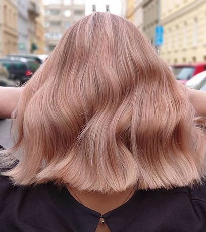 Hair Color Formulas Wella, Peach Blonde Hair, Peach Blonde, Rose Blonde Hair, Rose Hair Color, Champagne Blonde Hair, Champagne Hair, Rose Blonde, Gold Hair Colors