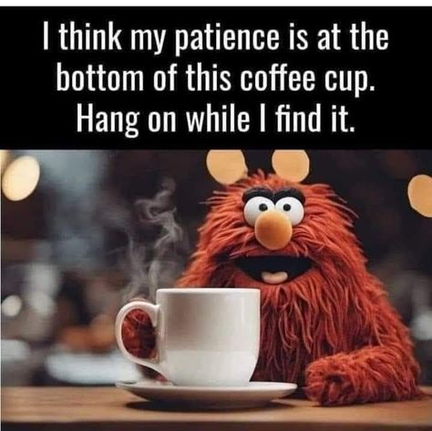 Morning Coffee Funny, Saturday Coffee, Coffee Lover Humor, Coffee Jokes, Coffee Meme, Coffee Quotes Funny, Funny Coffee Quotes, Coffee First, Coffee Talk