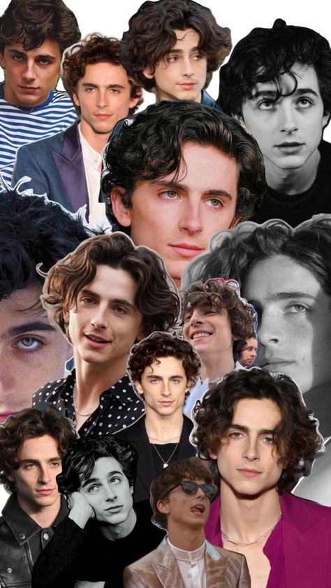 Timothee Chalamet Collage, Timothee Chalamet, Collage