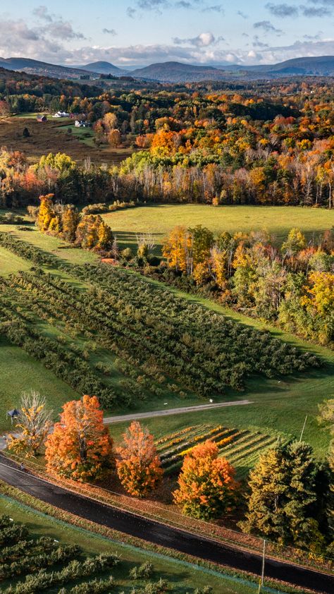 Shelburne Falls Massachusetts, Berkshires Massachusetts, Massachusetts Aesthetic, Western Massachusetts, The Berkshires, Art Galleries, Ny Times, The New York Times, Image Types