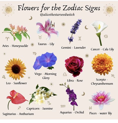 Flower Meanings In Witchcraft, Zodiac Signs As Flowers, Libra Birth Flower, Aries Flower, Spiritual Flowers, Plant Symbolism, Best Bouquet, Flowers And Their Meanings, Nordic Wedding