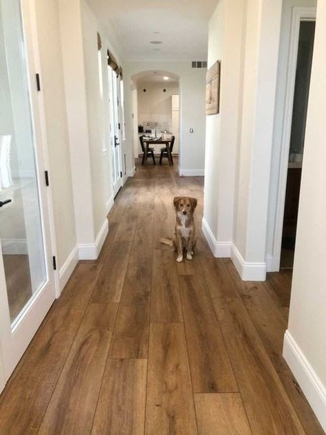 Living Room Flooring Ideas, Room Flooring Ideas, Waterproof Vinyl Plank Flooring, Wood Floor Colors, Vinyl Wood Flooring, Luxury Vinyl Planks, Hardwood Floor Colors, Wood Plank Flooring, Shop Vinyl