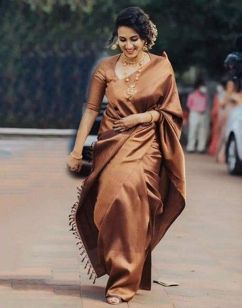 Brown Kanjivaram Saree, Brown Saree Look, Dark Brown Saree, Brown Silk Saree, New Suit Design, Brown Saree, South Indian Saree, Latest Saree Blouse, Lichi Silk Saree