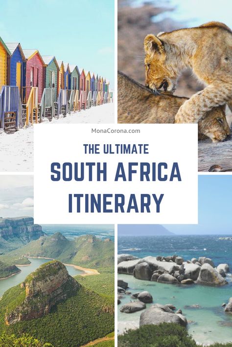 Click to read the ultimate 2 week South Africa Itinerary. Learn about the top things to do in Cape Town such as hiking lions head, table mountain, and exploring the best beaches in Cape Town. In this blog you'll also learn about where to stay in Cape Town / Best hotels in Cape Town & more. This South Africa travel guide also includes a garden route itinerary, Stellenbosch (+ Stellenbosch hotels) as well as a luxury safari in Kruger National Park! #southafrica #capetown #travel #africa #itinerary Visiting Africa, South Africa Itinerary, South Africa Vacation, South Africa Travel Guide, Africa Honeymoon, Africa Itinerary, Africa Vacation, Cape Town Hotels, Chobe National Park