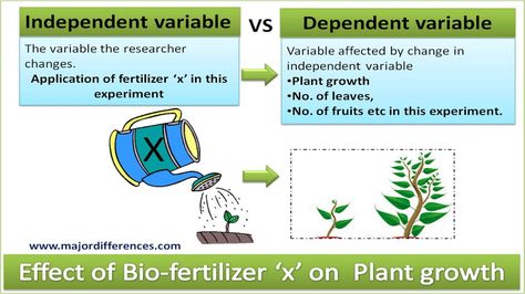 Independent variable vs Dependent variable explained with a simple example Independent Vs Dependent Variables, Dependent Vs Independent Variable, Biology Practical, Independent And Dependent Variables, Independent Variable, Scientific Method Worksheet, Middle School Science Classroom, Studying Tips, Graphing Worksheets