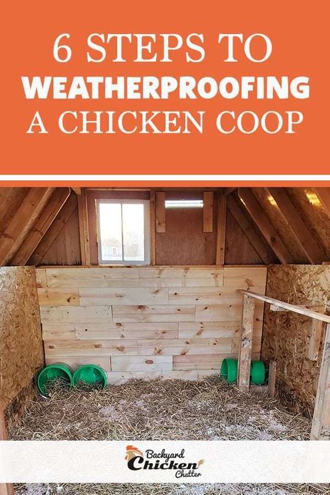 Weatherproof Chicken Coop, Insulating A Chicken Coop, Chicken Coop Insulation Ideas, Owning Chickens, Training Chickens, Quail Coop, Chicken Coop Decor, Chicken Care, Chicken Poop