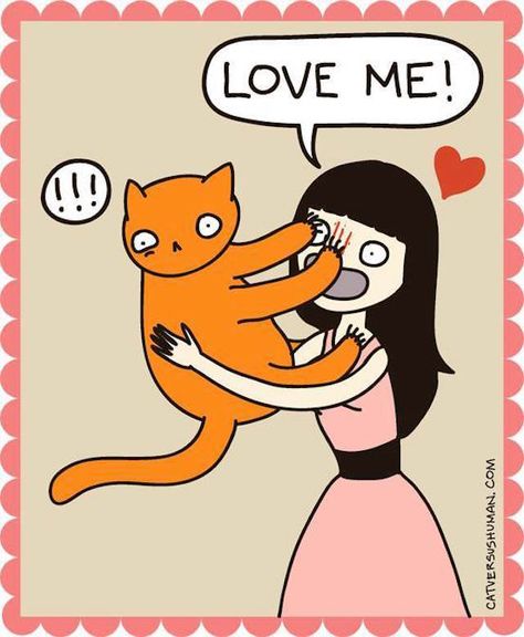 comic 7 Cat Vs Human, Cat Vs Dog, Living With Cats, Cat Comics, Cat Boarding, Cat People, Cat Person, Grumpy Cat, Cats Meow