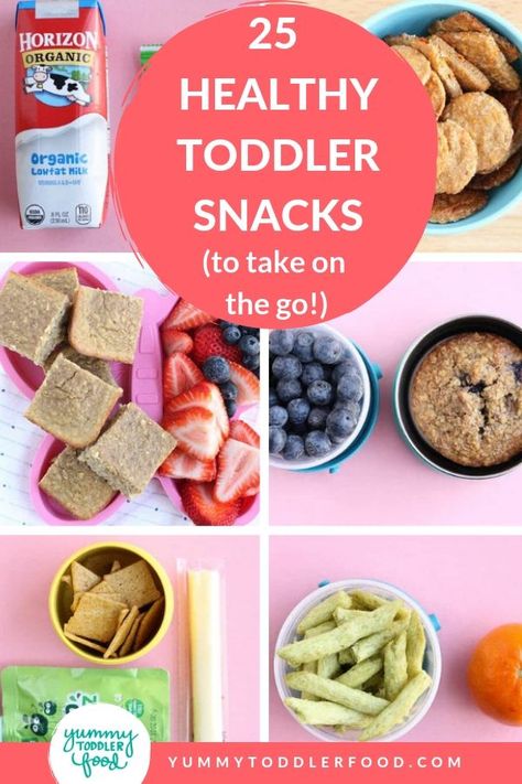 Homemade Toddler Snacks, Easy Toddler Snacks, Healthy Travel Snacks, Easy Toddler Meals, Healthy Toddler Snacks, Organic Fruits, Toddler Lunches, Preschool Snacks, Travel Snacks