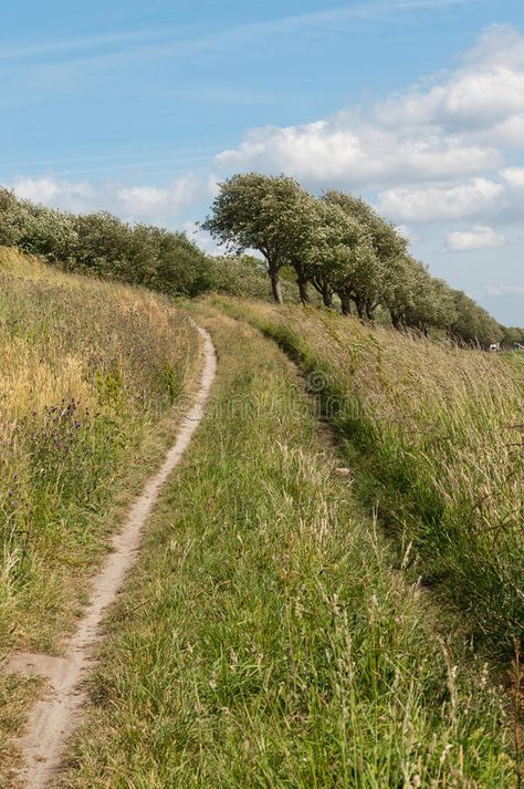 Narrow sandy path upwards. In the tall grass a narrow sandy path leads up to the , #AFFILIATE, #path, #tall, #Narrow, #sandy, #leads #ad Narrow Road, Minimalist Business Cards, Minimalist Business, Flower Paintings, Colorful Landscape, Landscape Photos, Card Templates, Flower Painting, Business Card