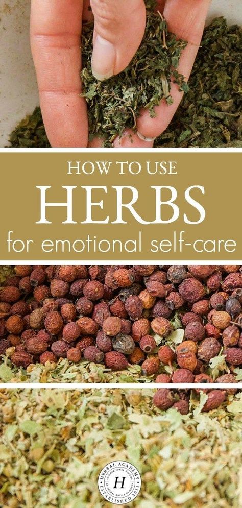 Spiritual Heart Medicine: How To Use Herbs for Emotional Self-Care | Herbal Academy | Tending to emotional self-care, or the spiritual heart, is necessary for overall vitality. Here are some herbs and recipes to help you get started. Heart Medicine, Cooking With Turmeric, Spiritual Heart, Herbal Academy, Herbal Tinctures, Herbal Apothecary, Healing Remedies, Natural Healing Remedies, Herbal Healing