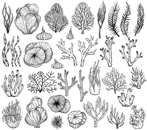 Silhouette sea coral reef oceanic animal set Vector Image Coral Reef Drawing, Coral Tattoo, Coral Drawing, Ocean Sleeve, Sea Vector, Ocean Plants, Ocean Drawing, Sea Drawing, Sea Tattoo