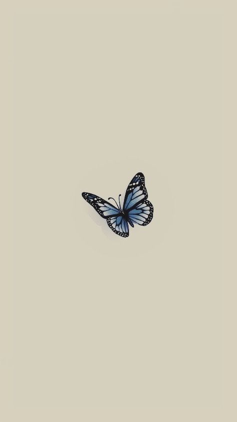 Beautiful Butterfly Wallpaper, Minimal Aesthetic Instagram, Filter Photography, Inspiration Wallpaper, Wallpaper Inspiration, Airbrush App, Instagram Highlight Covers, Butterfly Theme, Instagram Layout