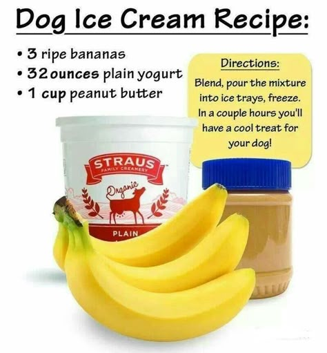 Dog Ice Cream Recipe, Lou Dog, Dog Ice Cream, Doggy Treats, Healthy Dog Treats Homemade, Fu Dog, Dog Treats Homemade, Dog Treats Homemade Recipes, Doggie Treats